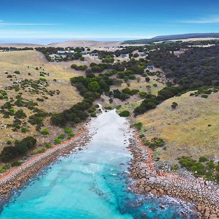بنيشو Sea Dragon Kangaroo Island المظهر الخارجي الصورة