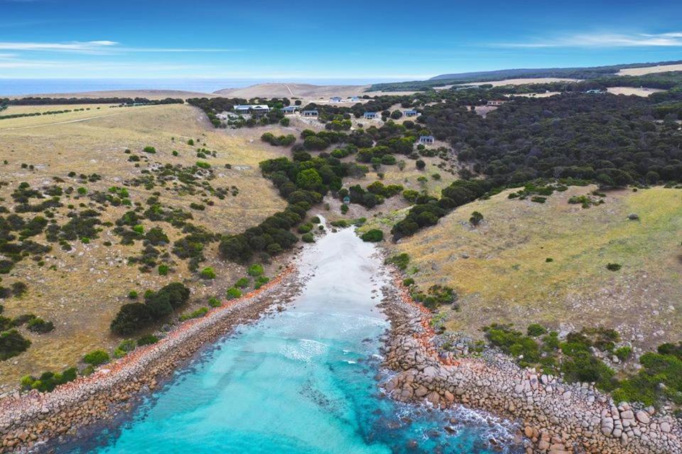 بنيشو Sea Dragon Kangaroo Island المظهر الخارجي الصورة