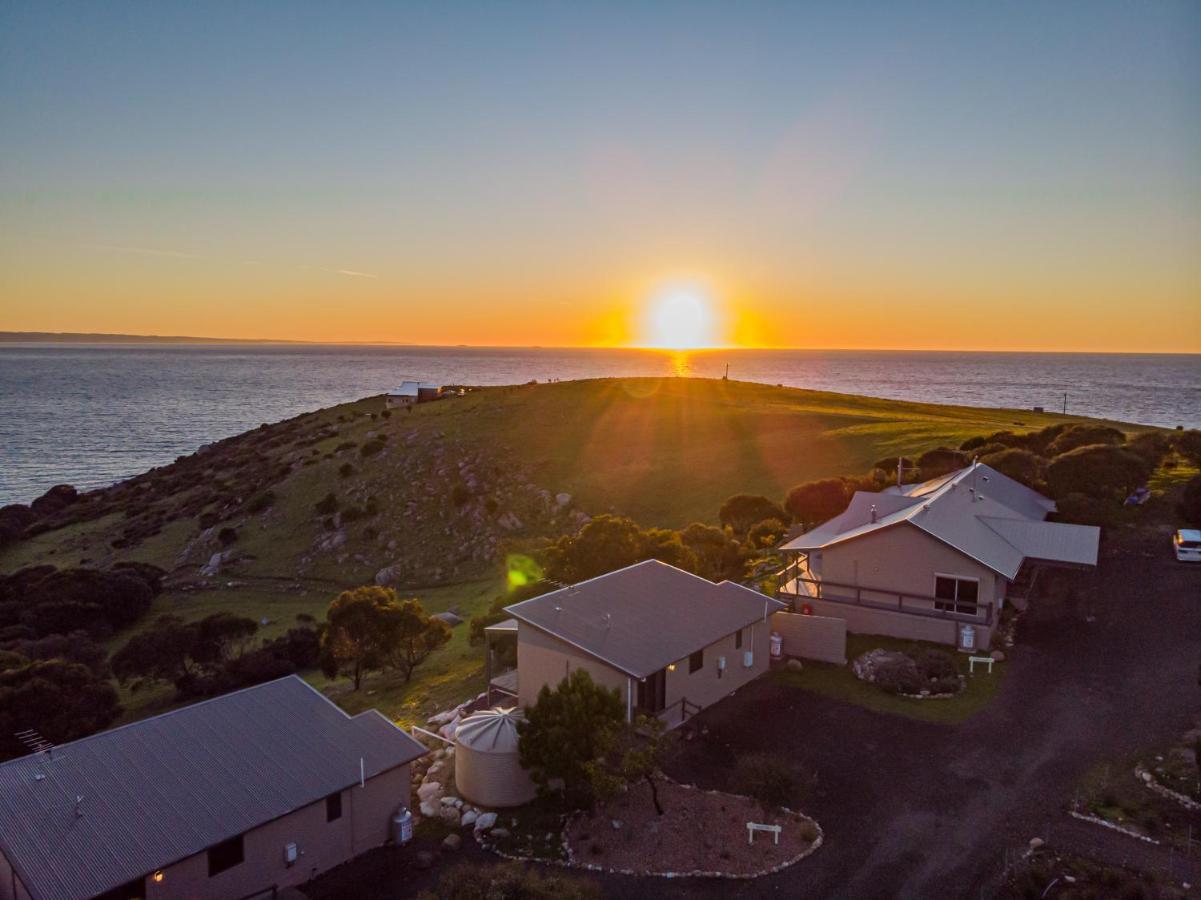 بنيشو Sea Dragon Kangaroo Island المظهر الخارجي الصورة