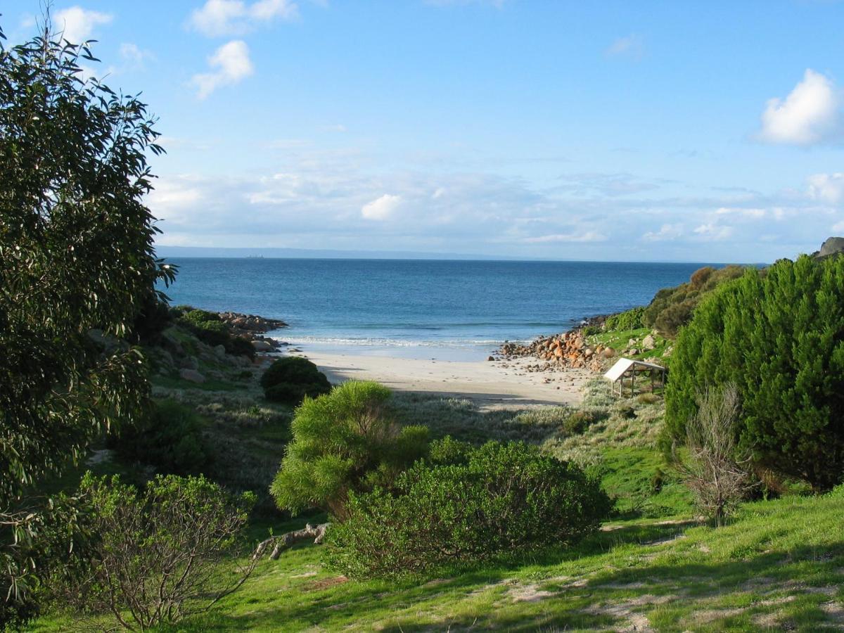 بنيشو Sea Dragon Kangaroo Island المظهر الخارجي الصورة