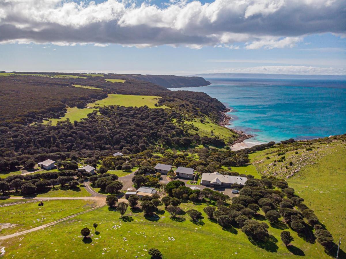 بنيشو Sea Dragon Kangaroo Island المظهر الخارجي الصورة