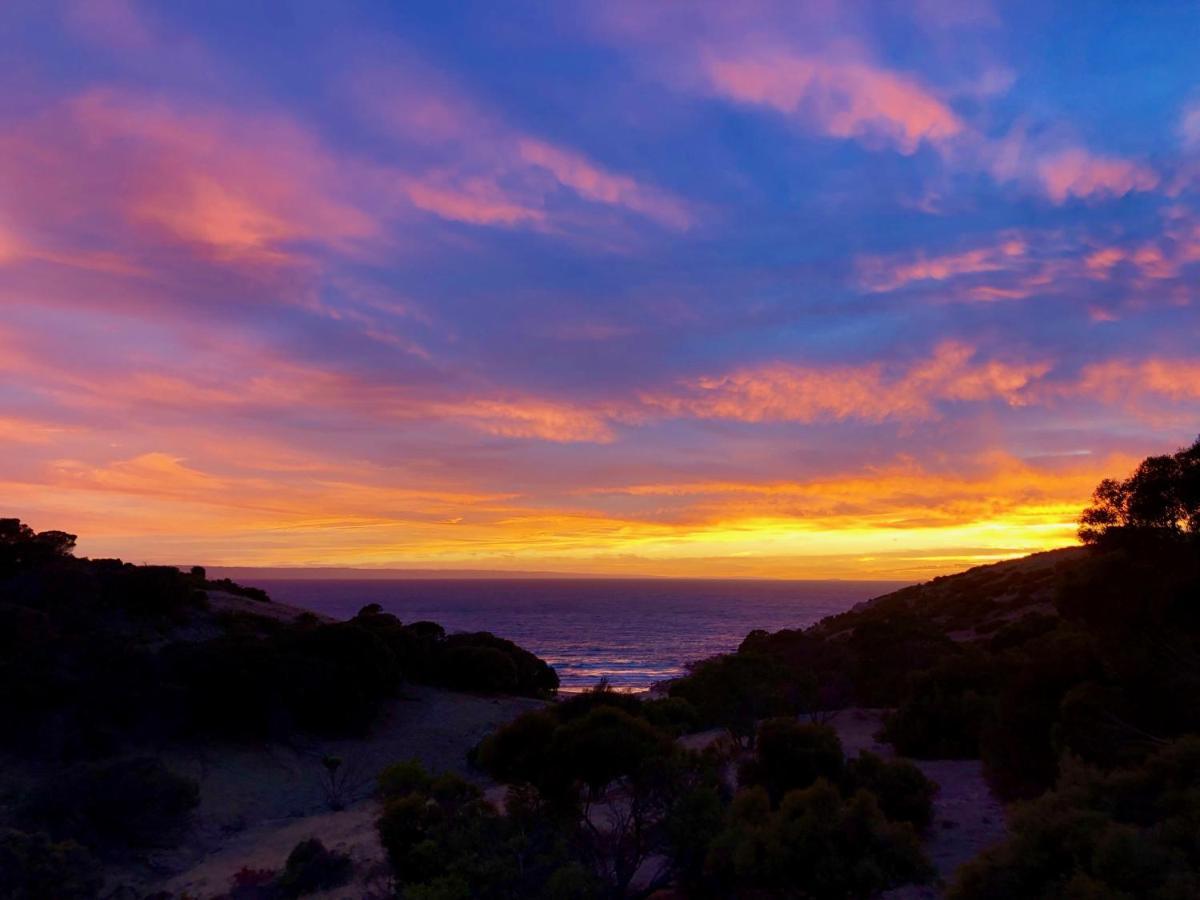 بنيشو Sea Dragon Kangaroo Island المظهر الخارجي الصورة