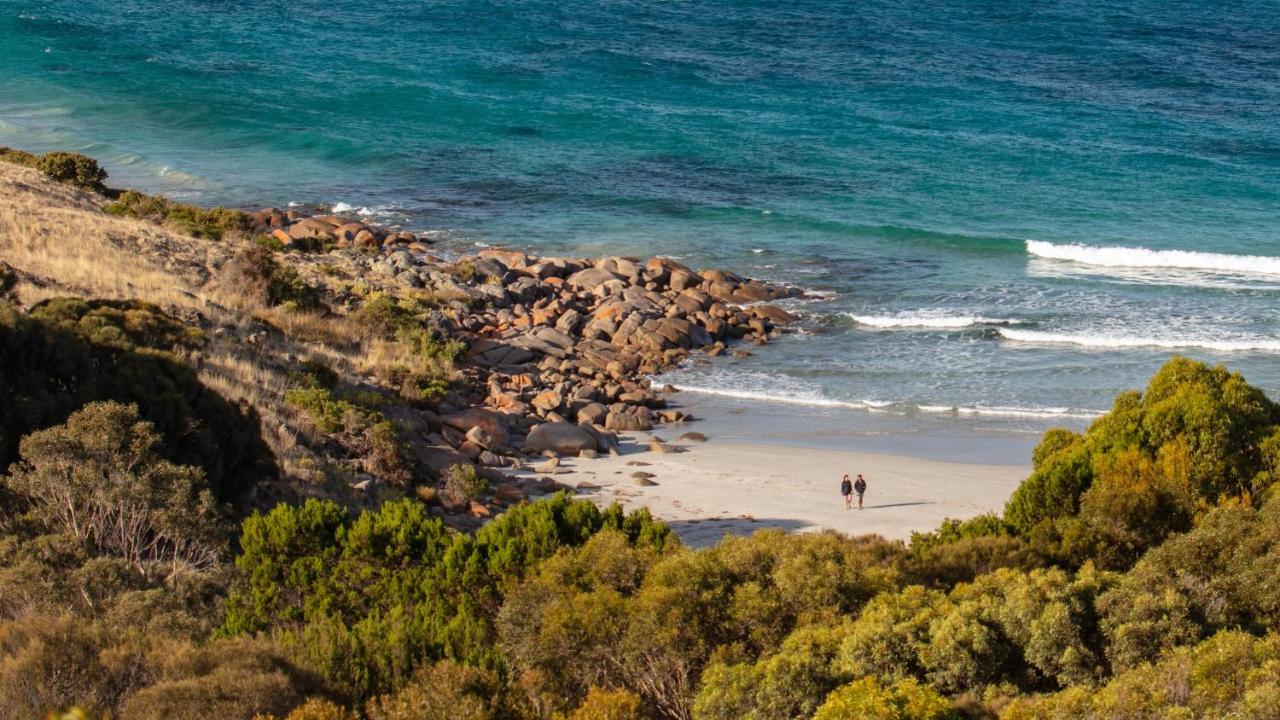 بنيشو Sea Dragon Kangaroo Island المظهر الخارجي الصورة