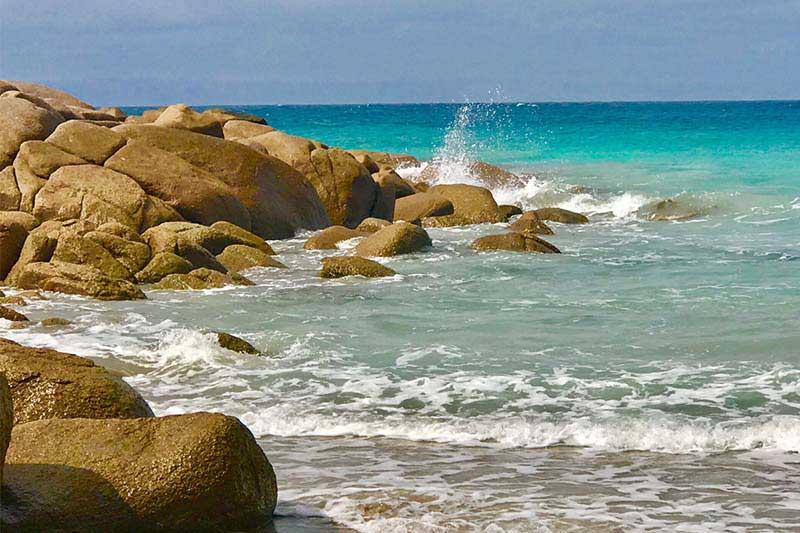 بنيشو Sea Dragon Kangaroo Island المظهر الخارجي الصورة