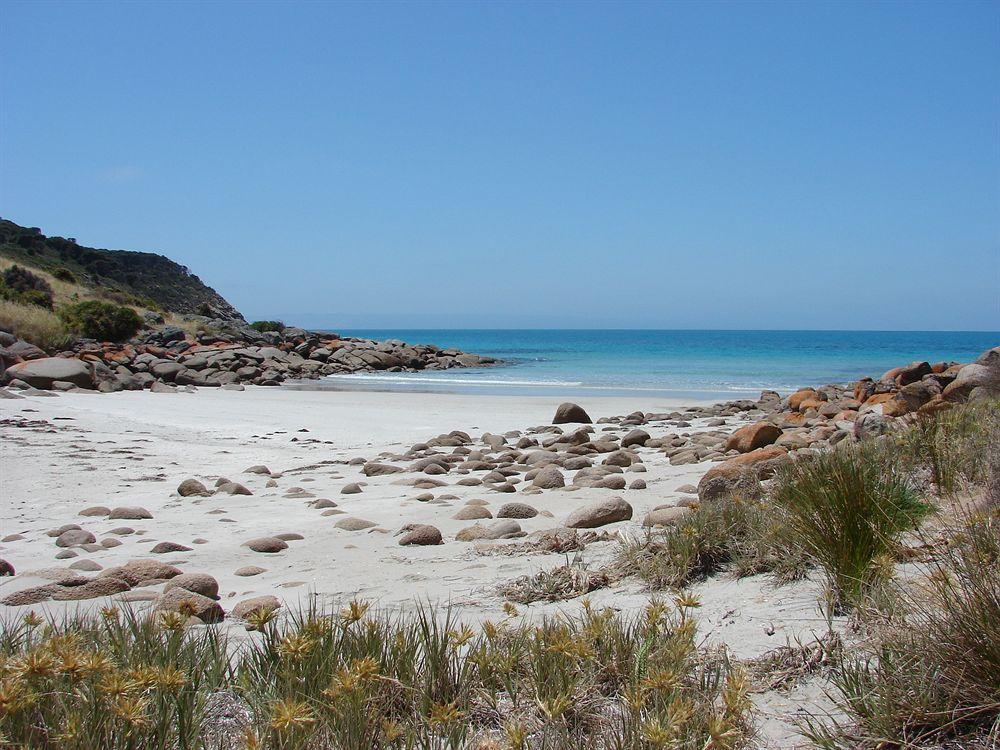بنيشو Sea Dragon Kangaroo Island المظهر الخارجي الصورة
